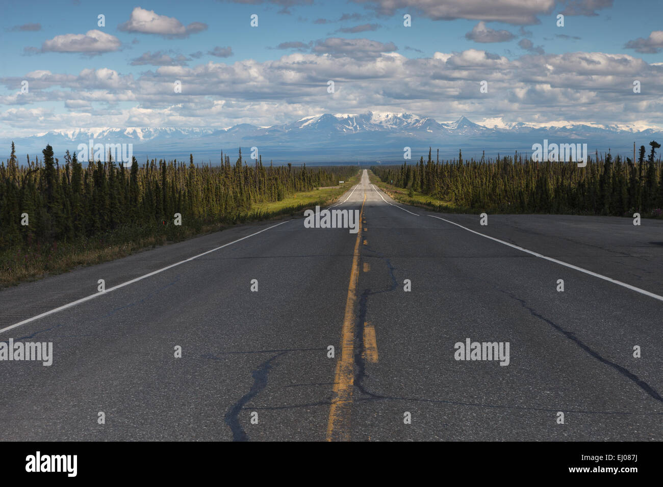 Montieren Sie Trommel von Glennallen Highway, Alaska, USA. Stockfoto