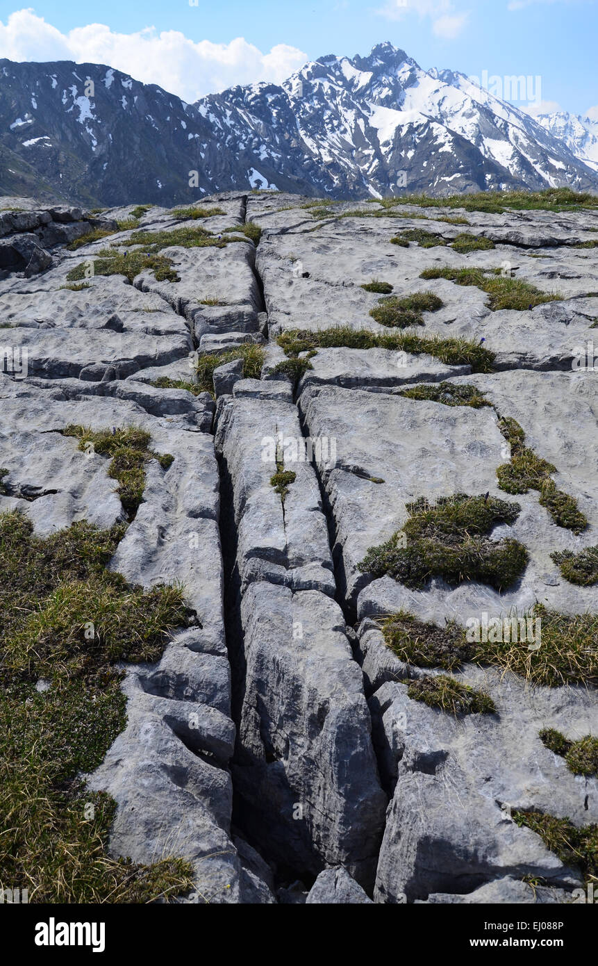Graubünden, Graubünden, Schweiz, Europa, national Park, Engadin, Unterengadin, Zernez, Murtaröl, Klippe Fissur, Piz Tantermoz Stockfoto