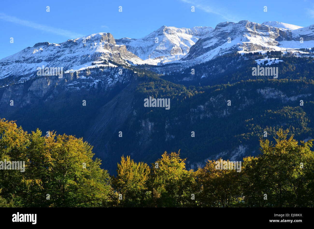 Schweiz, Europa, Kanton Bern, Berner Oberland, Brienzersee, Haslital, Wandelhoren, Schnee, Holz, Wald, Herbst Stockfoto