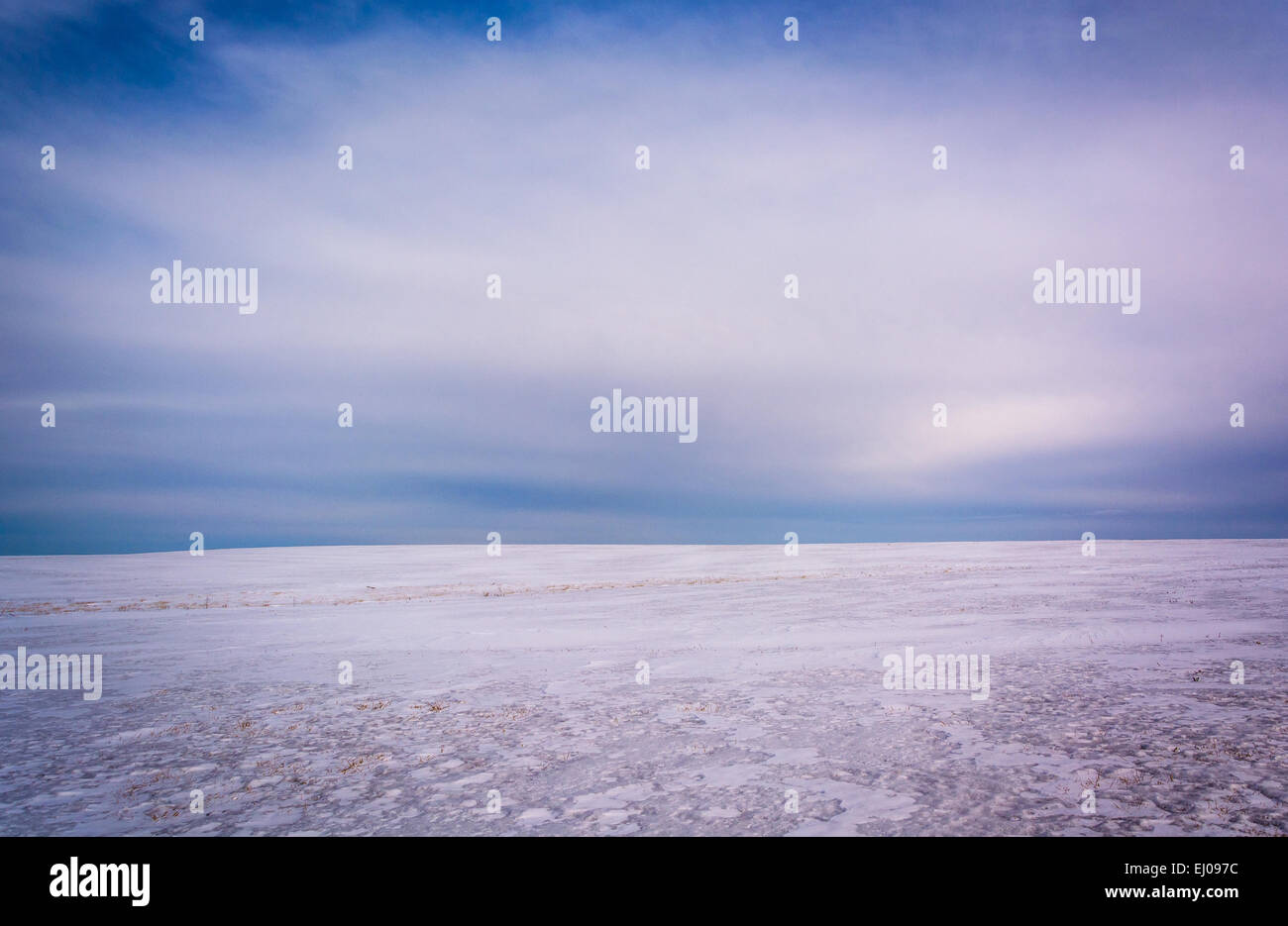 Schneebedeckte Feld in Adams County, Pennsylvania. Stockfoto