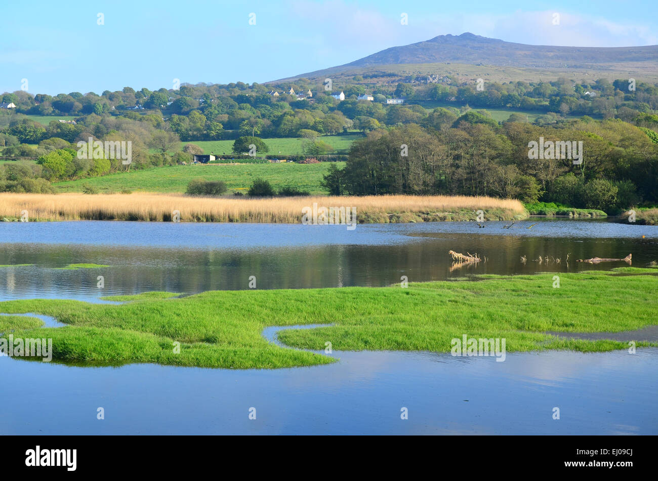 Wales, Großbritannien, Küste, Pembrokeshire national park, Pembrokeshire Coast Path, Atlantik, Newport, Bucht, Pfad, Meer Stockfoto