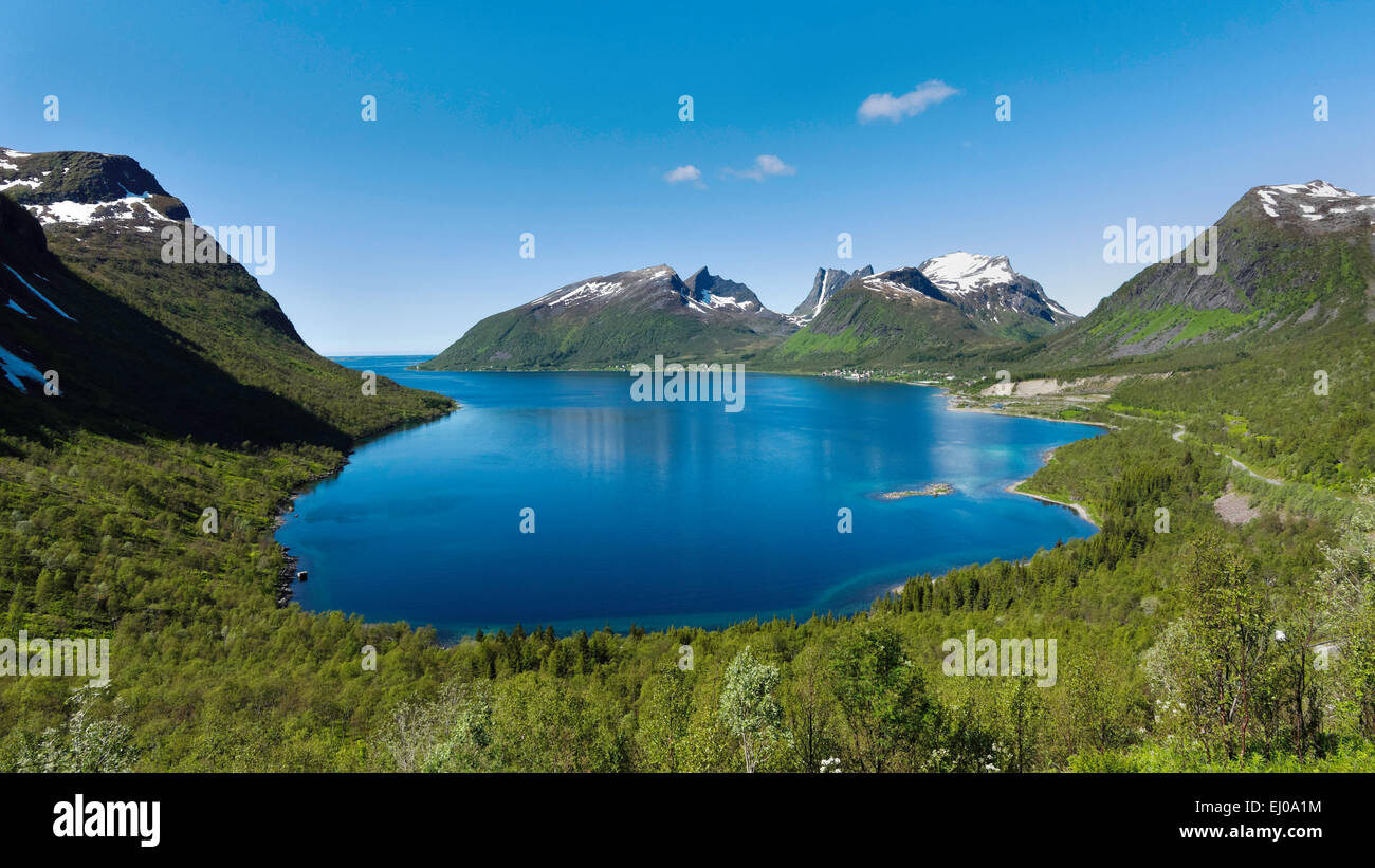 Berg-Fjord, Birkenholz, blau, Bucht, Fjord, Himmel, blau, Landschaft, Landschaft, Laubwald, Norwegen, Europa, Senja, Skandinavien Stockfoto