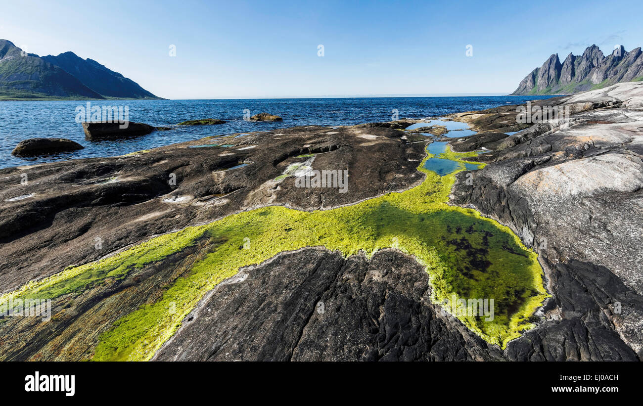 Alge, blau, Bucht, Felsen, Klippe, Felsenküste, Fjord, Berge, Granit, grasgrün, grün, Himmel, blau, Küste, Landschaft, Landschaft, se Stockfoto