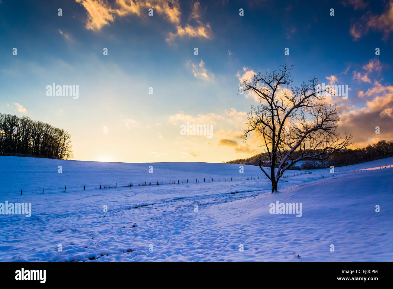 Sonnenuntergang über einem Baum und schneebedeckten Feld in ländlichen York County, Pennsylvania. Stockfoto
