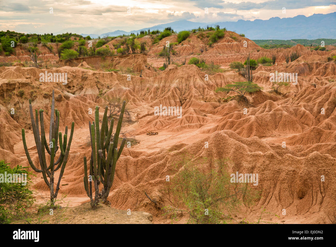 Südamerika, Lateinamerika, Kolumbien, Natur, Tatacao, Wüste, Fels-Formationen, Huila, Erosion, Nationalpark, Stockfoto Südamerika, Lateinamerika, Kolumbien, Natur, Tatacao, Wüste, Fels-Formationen, Huila, Erosion, Nationalpark, Stockfoto