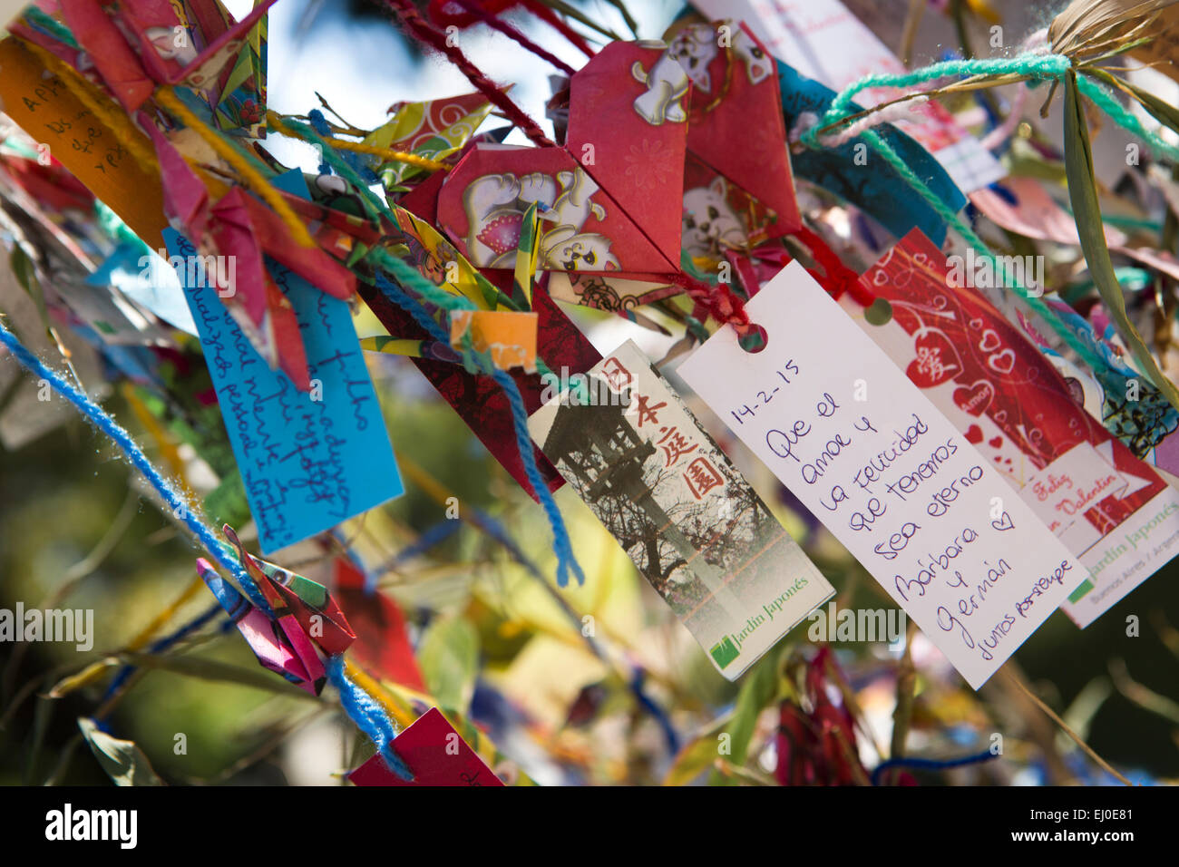 Argentinien, Buenos Aires, Retiro, japanischer Garten Jardin Japones, schriftliche Mitteilungen auf Wunsch Baum Stockfoto