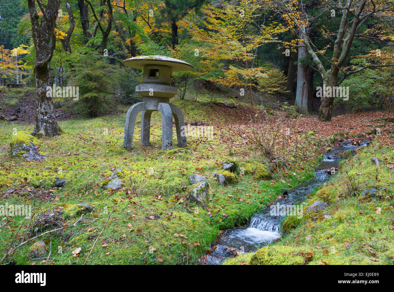 Japan, Asien, Nikko Stadt, Weltkulturerbe, bunt, Herbst, Farben, Herbst, Geschichte, Laterne, Nikko, keine Menschen, Shinto, Toro, tosh Stockfoto