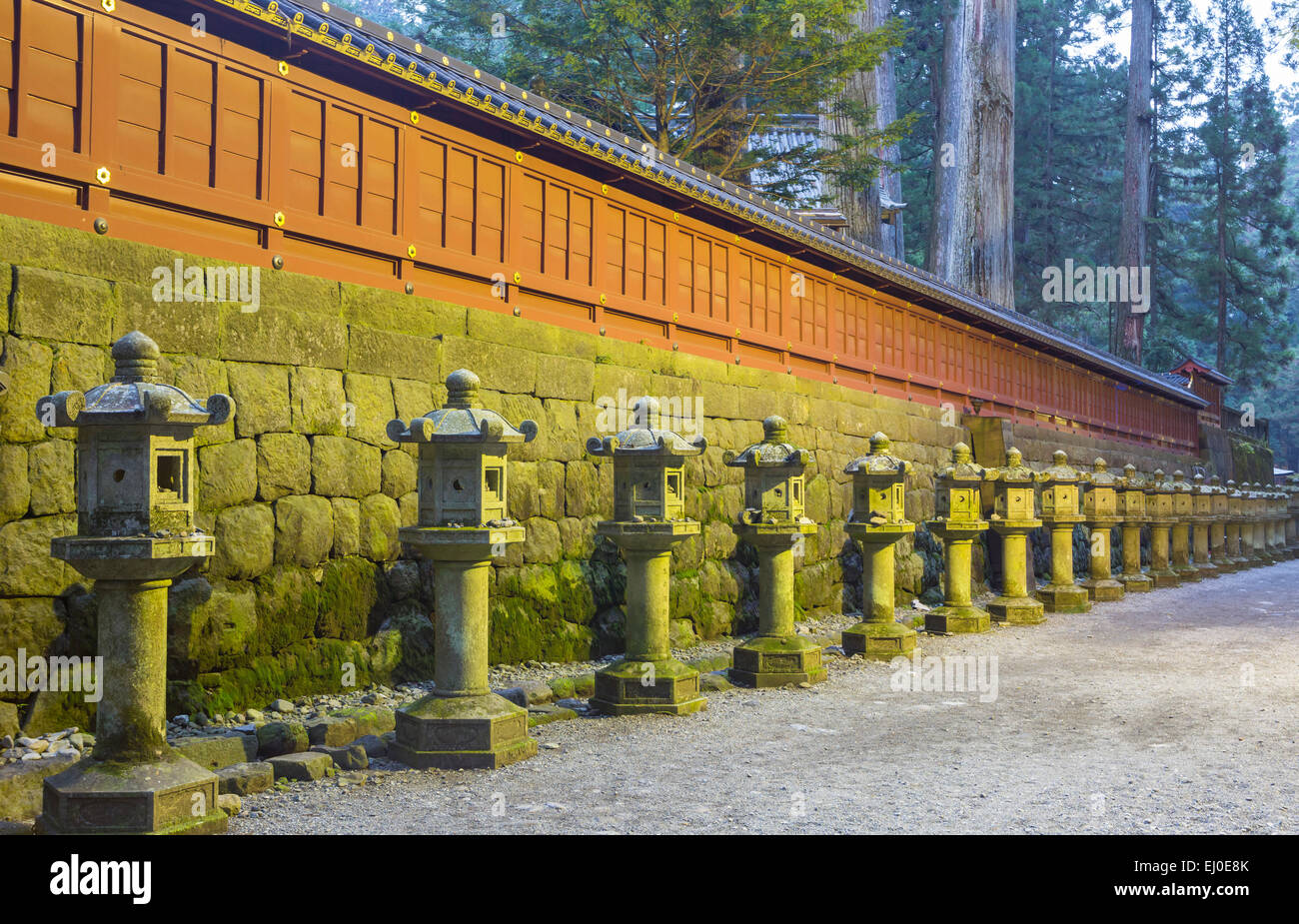 Avenue, Japan, Asien, Weltkulturerbe, Architektur, komplex, Herbst, Geschichte, Laternen, Nikko, keine Menschen, Schrein, Toros, Tōshōgū, zu Stockfoto Avenue, Japan, Asien, Weltkulturerbe, Architektur, komplex, Herbst, Geschichte, Laternen, Nikko, keine Menschen, Schrein, Toros, Tōshōgū, zu Stockfoto
