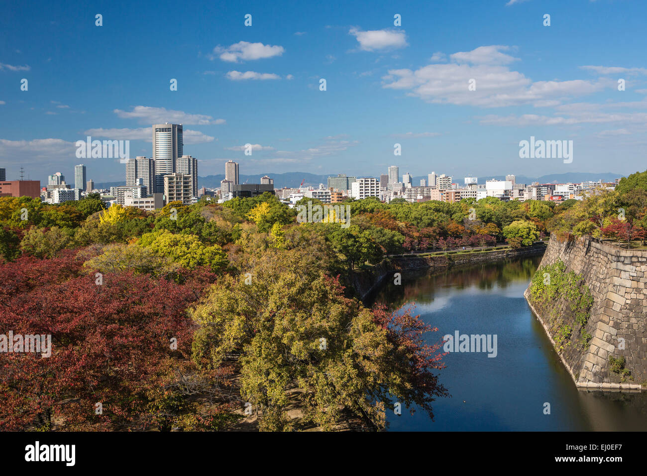 Japan, Asien, Kansai, Landschaft, Osaka, Stadt, Burg, Architektur, Herbst, bunt, Herbst, keine Menschen, Tourismus, Reisen Stockfoto