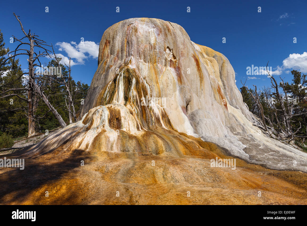 Orange Spring Mound am Nachmittag, Mammoth Hot Springs, Wyoming, Vereinigte Staaten von Amerika. Stockfoto