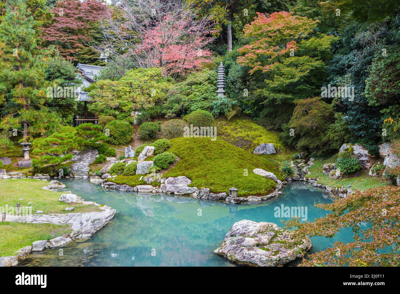 Kansai, Kyoto, Japan, Asien, Japanisch, Landschaft, Shoren, Tempel, Architektur, bunt, süß, Herbst, Garten, grün, Momiji, n Stockfoto
