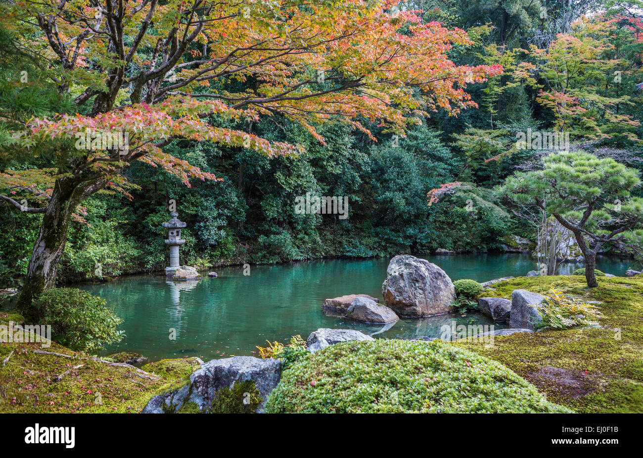 Kansai, Kyoto, Japan, Asien, Japanisch, Landschaft, Shoren, Tempel, Architektur, bunt, Herbst, Garten, grün, Laterne, Momiji Stockfoto