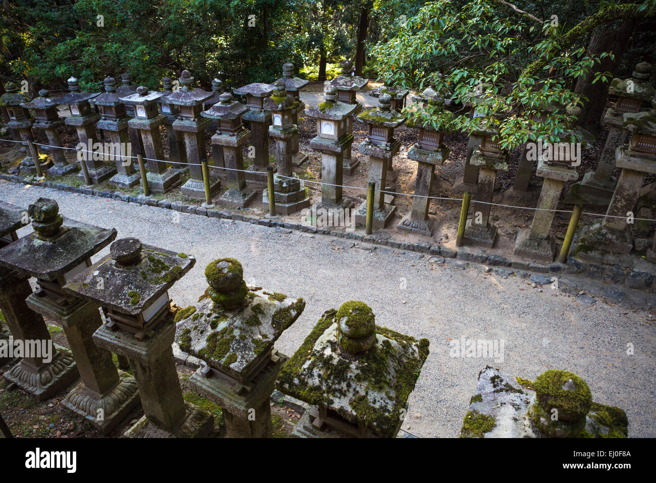 Welterbe, City, Japan, Asien, Kansai, Kasuga, Nara, Architektur, bunte, Geschichte, Laternen, niemand, Park, Schrein, Tor Stockfoto