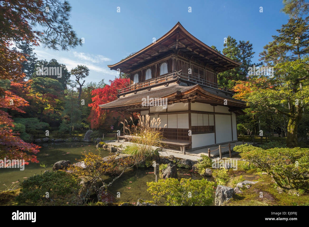 Welterbe, Ginkaku-Ji, Japan, Asien, Kansai, Kyoto, Japan, Landschaft, Architektur, bunt, Herbst, Garten, Haus, Momiji Stockfoto