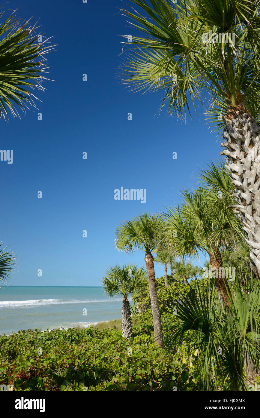USA, Florida, Sarasota County, Casey Key Stockfoto