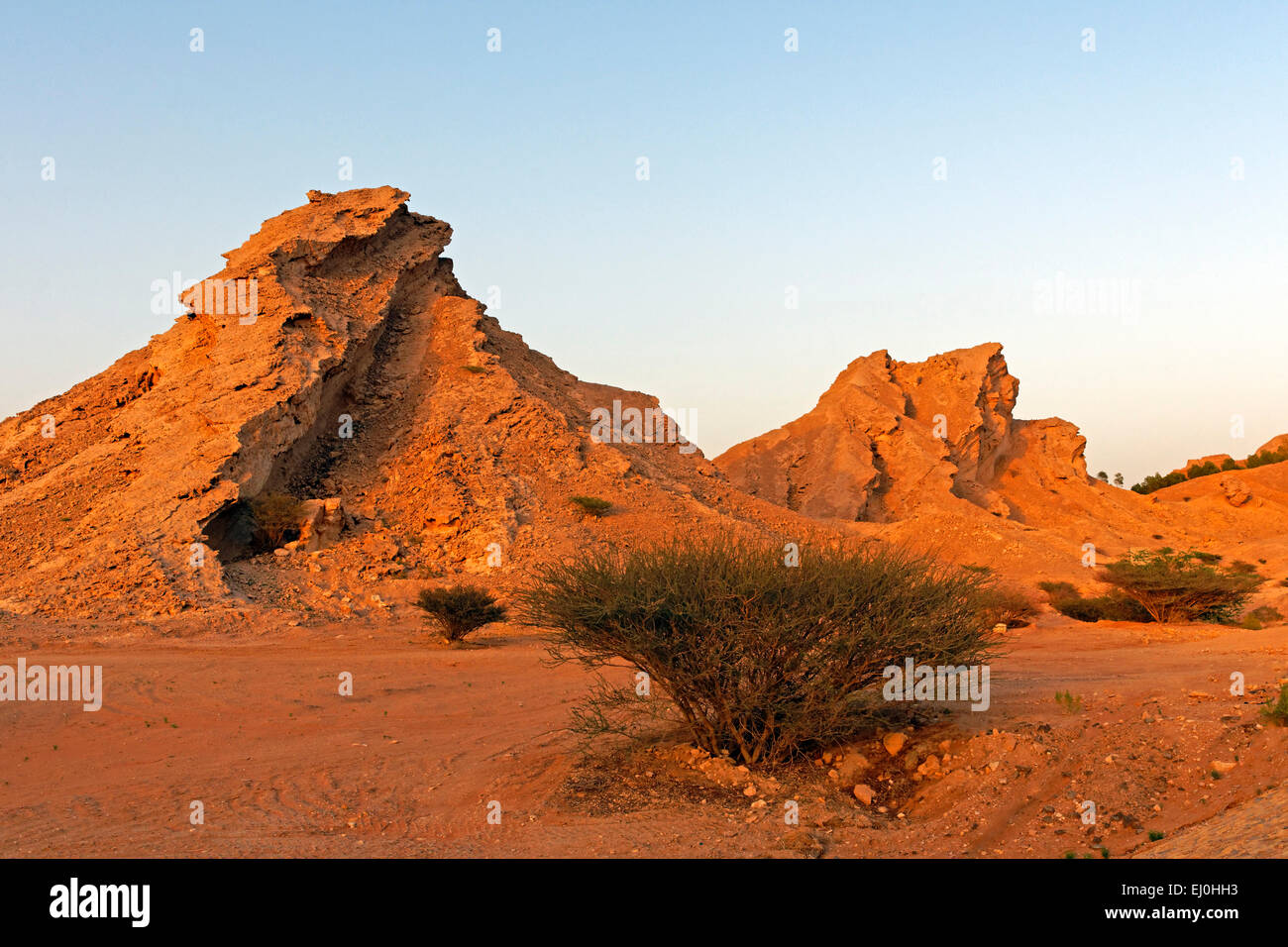 Asien, Vereinigte Arabische Emirate, Vereinigte Arabische Emirate, Abu Dhabi, Al Ain, Green Mubazzarah, Jebel Hafeet, Bäume, Berge, Landschaft, Landschaft, Höhenmeter Stockfoto