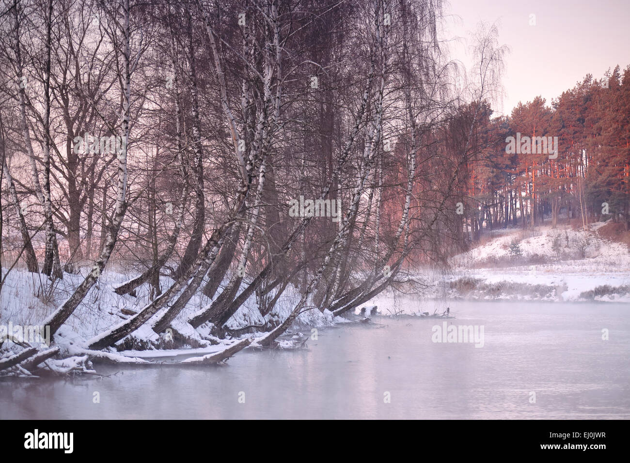 Winter am Fluss Swislotsch Stockfoto