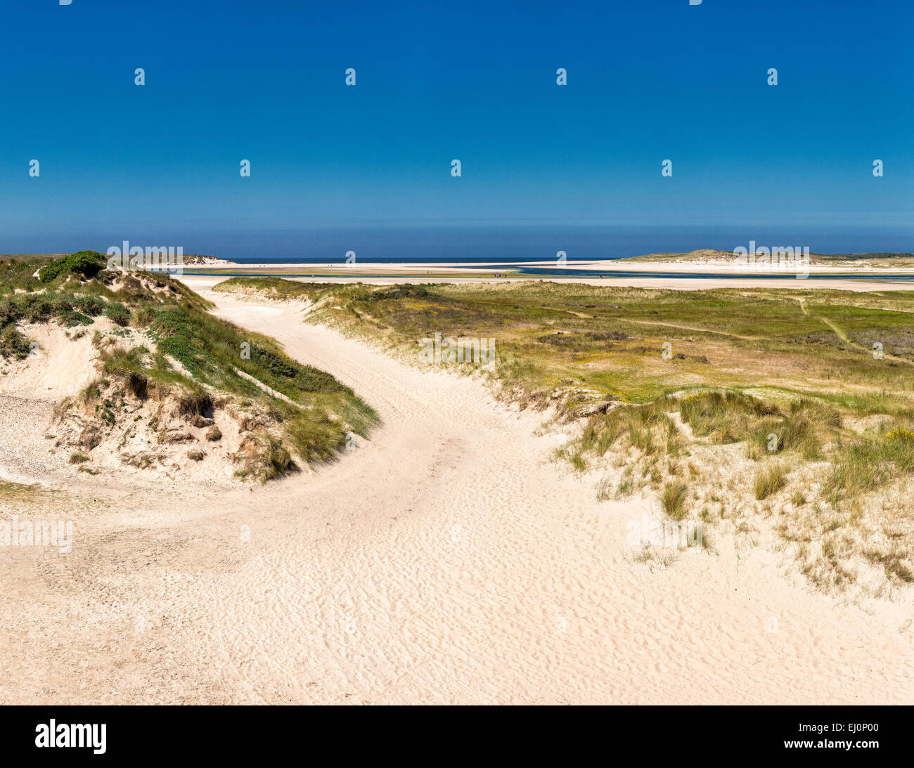 Niederlande, Holland, Europa, De Cocksdorp, Leuchtturm, Texel, Nordholland, Landschaft, Feld, Wiese, Sommer, Strand, Meer, Dünen Stockfoto