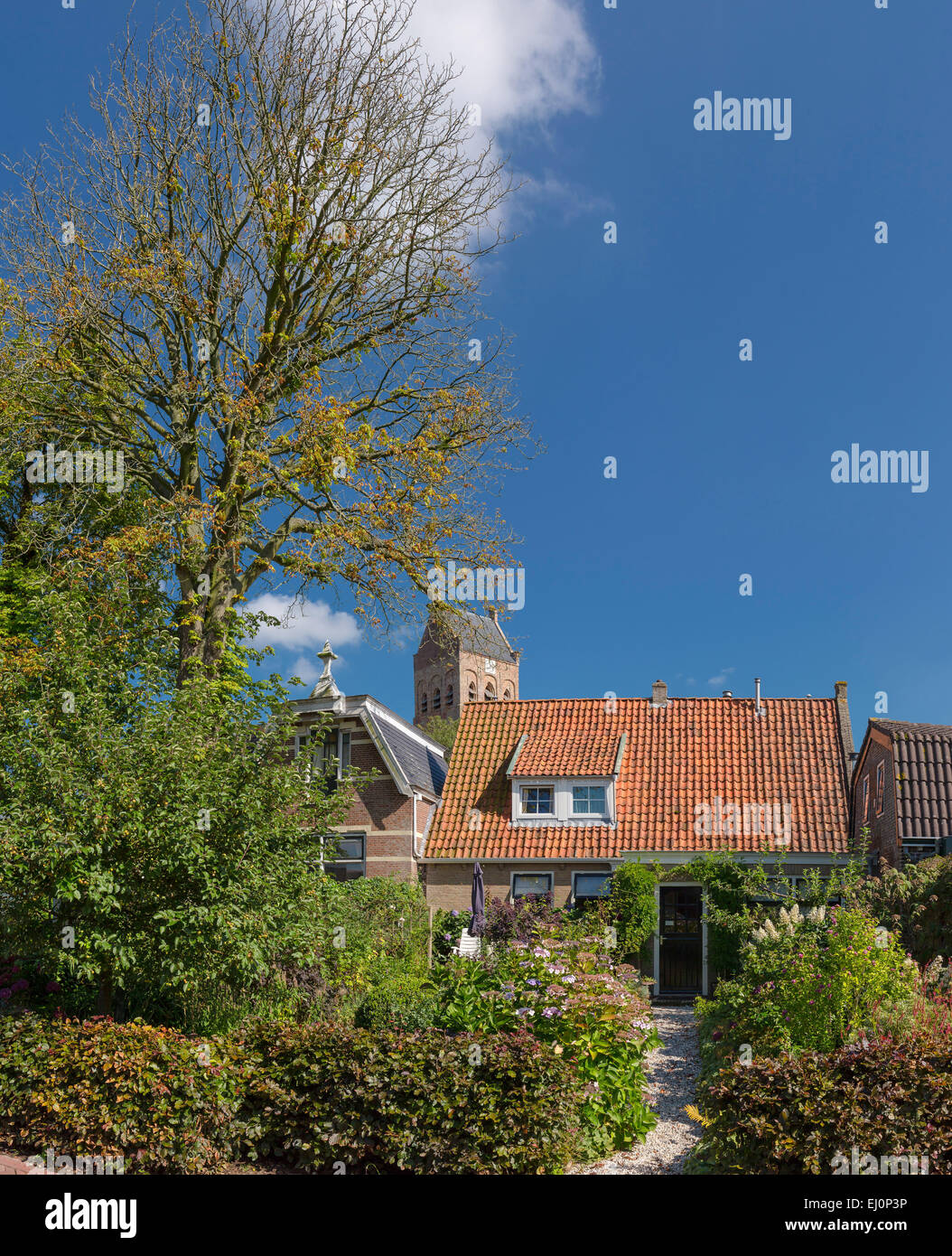 Niederlande, Holland, Europa, Ferwert, Friesland, Dorf, Bäume, Sommer, Haus Stockfoto