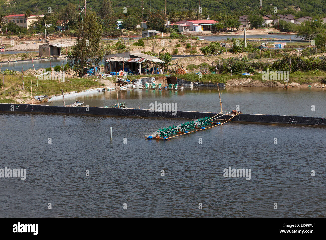 Artivical, See, Gehäuse, Shrimps, Garnelen Zucht, Krabben, Garnelen, Vinh, Hy, Vietnam, Asien, Süd-Ost-Asien, Vietnam, Asien, Cr Stockfoto