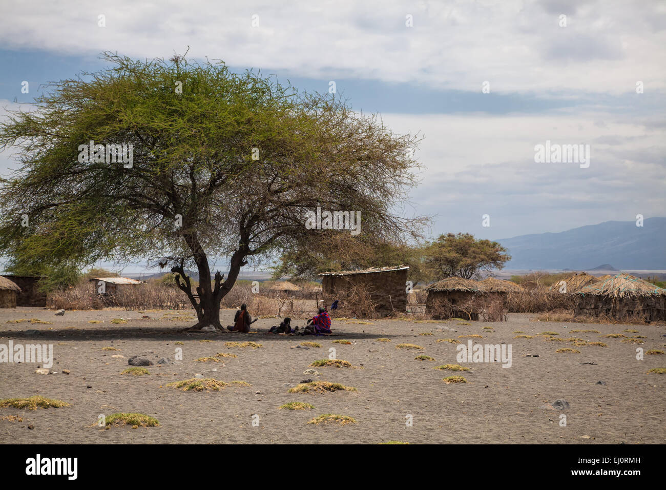 Afrika, Baum, Bäume, Dorf, Haus, Haus, Häuser, Häuser, Kinder, Landschaft, Landschaft, Massai, Menschen, Personen, Reisen, Tansania Stockfoto