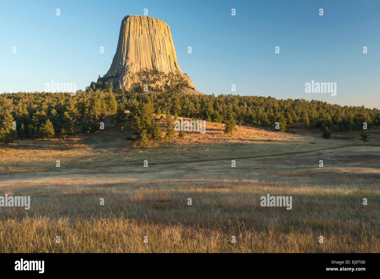 USA, USA, Amerika, Wyoming, Devils Tower, National Monument, Park, Prärie, Landschaft, Grünland, vulkanische, Mato-Tipi, Stockfoto