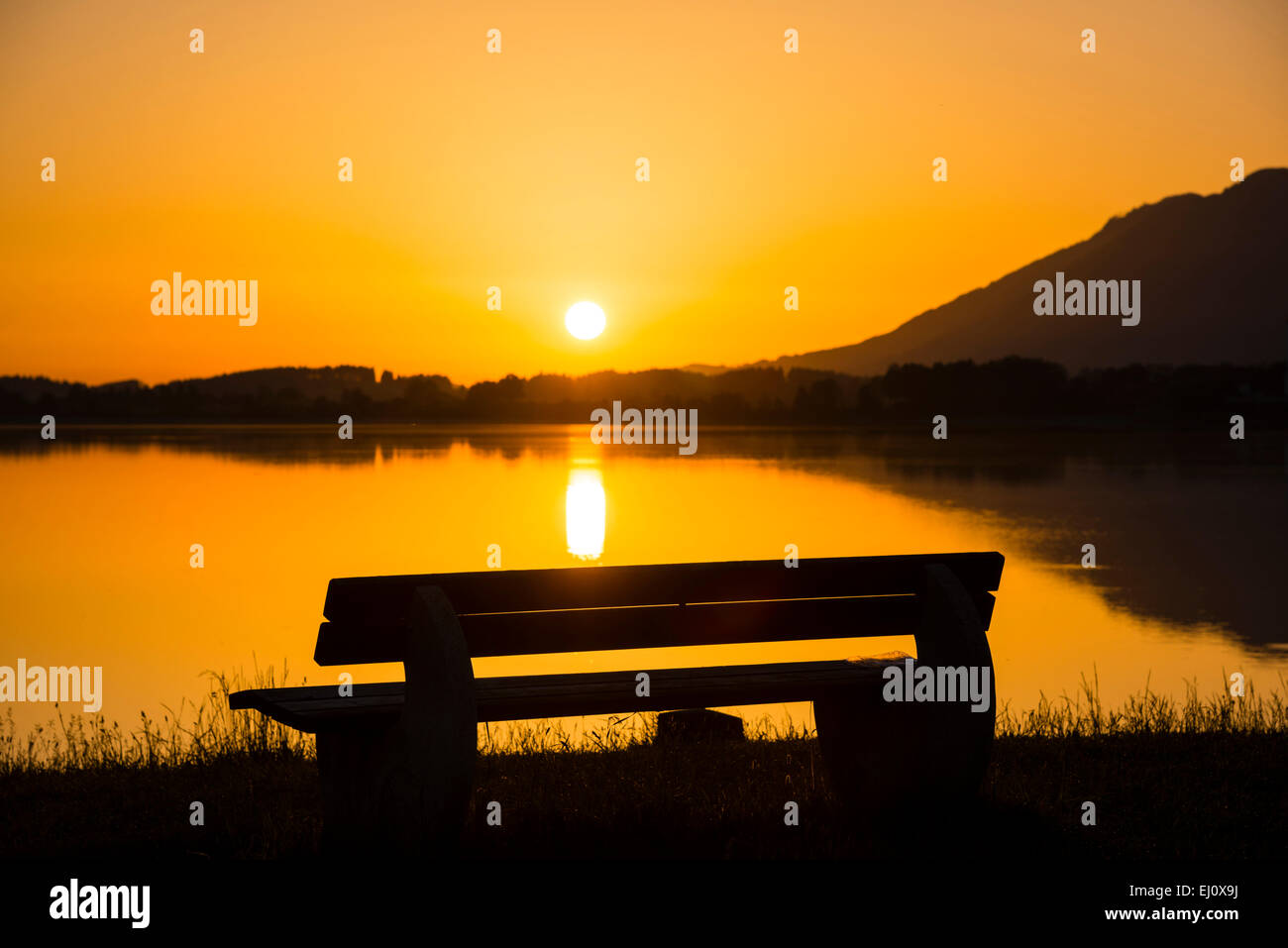 Allgäu, Alpen, außen, bank, Bayern, ruhig, Deutschland, Einsamkeit, Europa, Forggensee, Gegenlicht, Gewässer, native Land Stockfoto