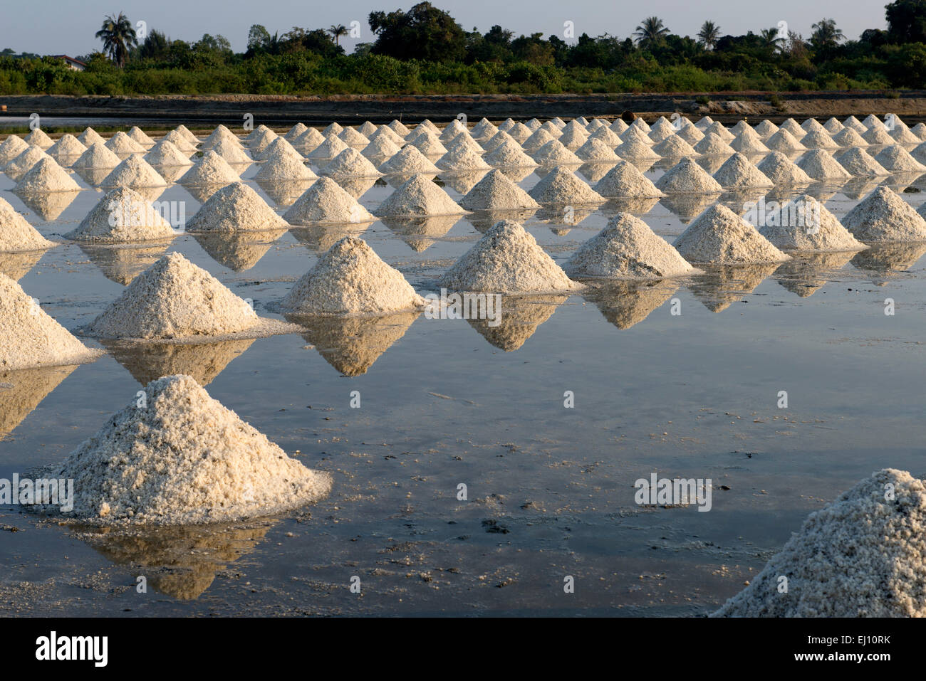 Thailand, Petchaburi, Asien, Salzfelder, Salz, Industrie, Salinen Stockfoto