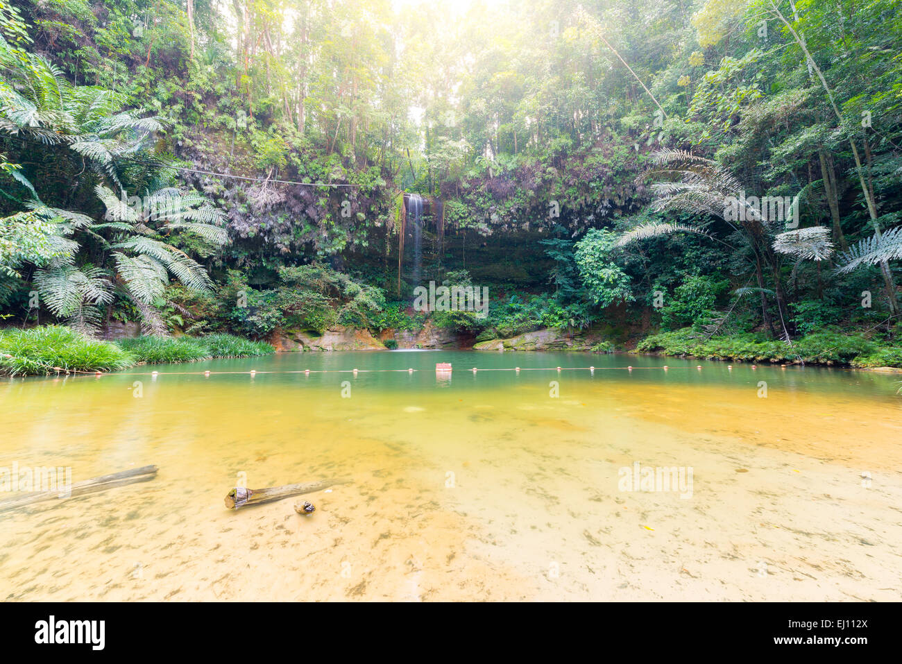 Verträumte bunte Naturpool versteckt in der dichten und Umid Regenwald des Lambir Hills National Park, Borneo, Malaysia. Stockfoto