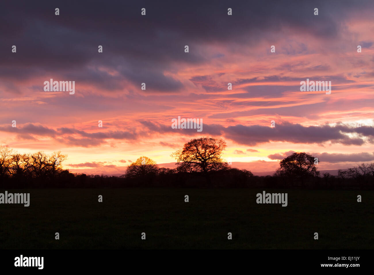Dorf von Coddington, England. Dramatischen Sonnenuntergang Blick über die Grenzen des ländlichen Cheshire in Richtung Nord-Wales. Stockfoto