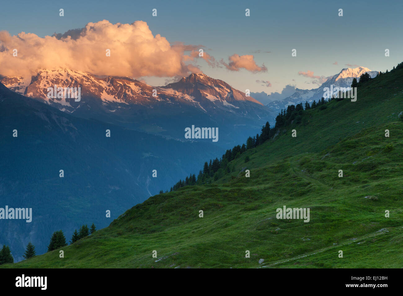 Ansicht, Riederfurka, Schweiz, Europa, Kanton Wallis, Wallis, Aletschgebiet, Abendlicht Stockfoto