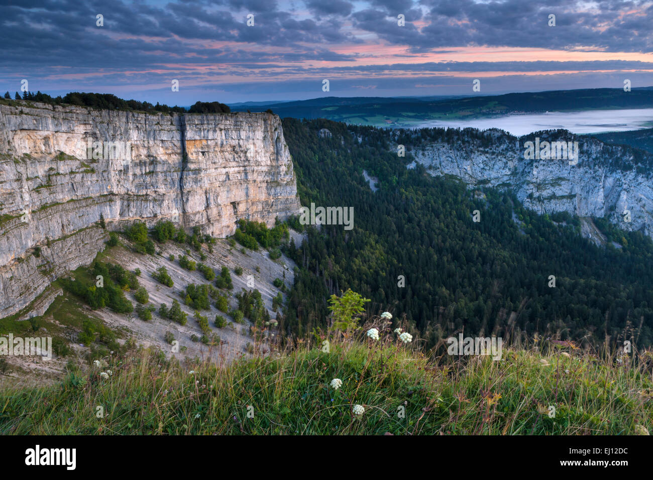 Creux du van, der Schweiz, Europa, Kanton Neuenburg, Jura, Neuenburg, Felsen, Cirque, Tagesanbruch Stockfoto