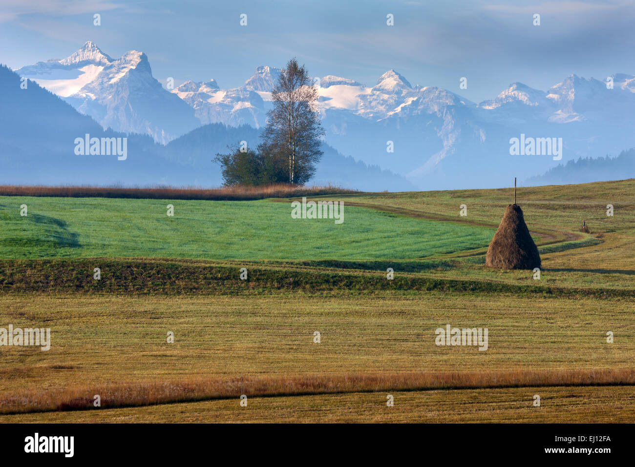 Moor, Rothenthurm, Schweiz, Europa, Kanton Schwyz, sumpfigen, Landschaft Stockfoto