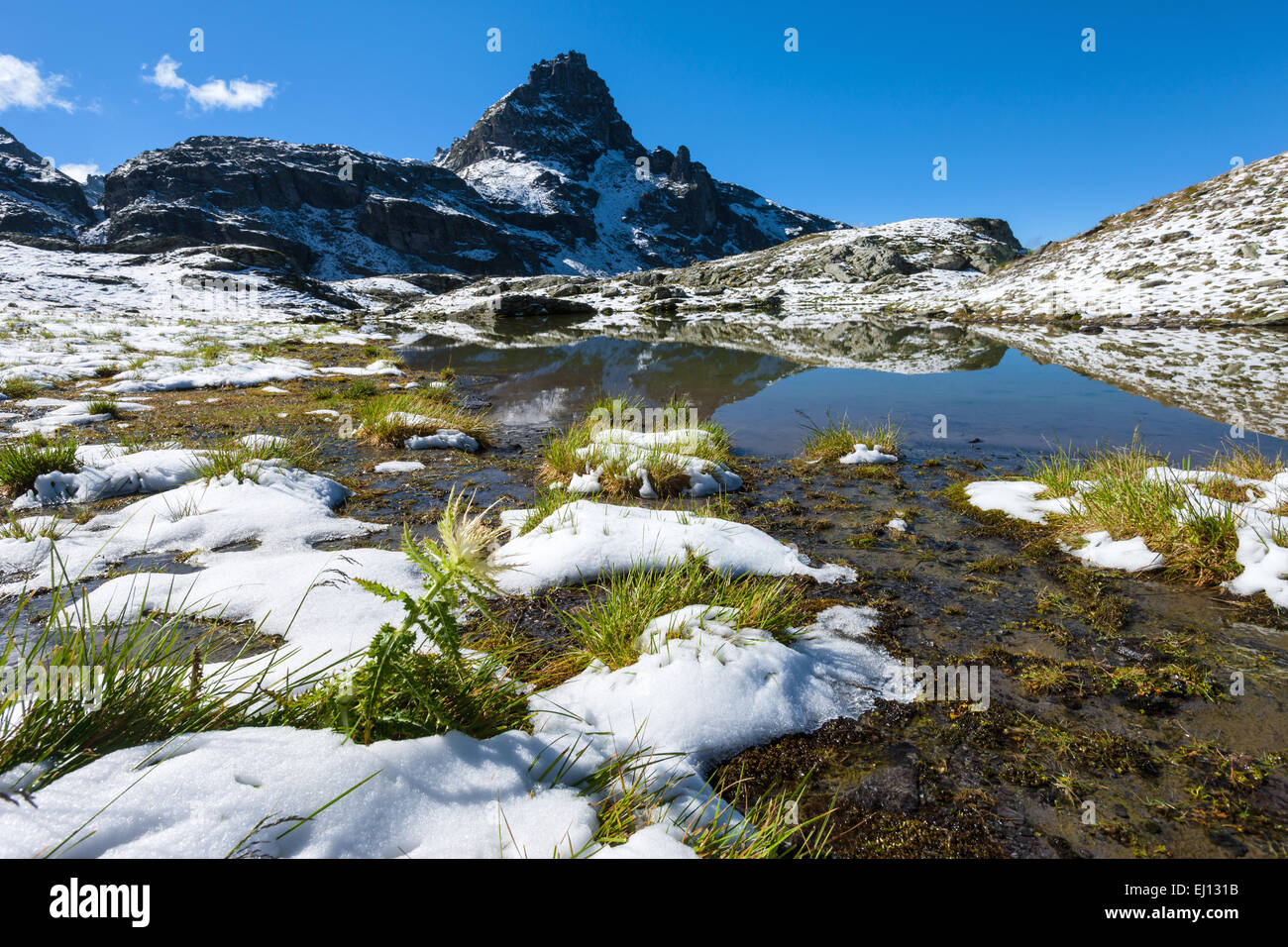 Schottensee, See, Schweiz, Europa, Kanton St. Gallen, Sarganserland, Pizol Bereich, 5 Seenregion, Bergsee Stockfoto