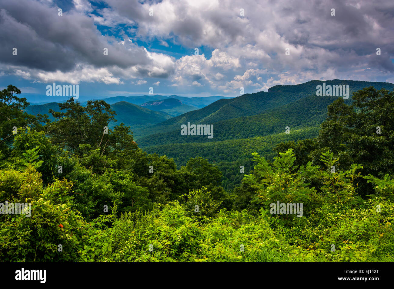 Ansicht der Appalachen von der Blue Ridge Parkway in North Carolina. Stockfoto