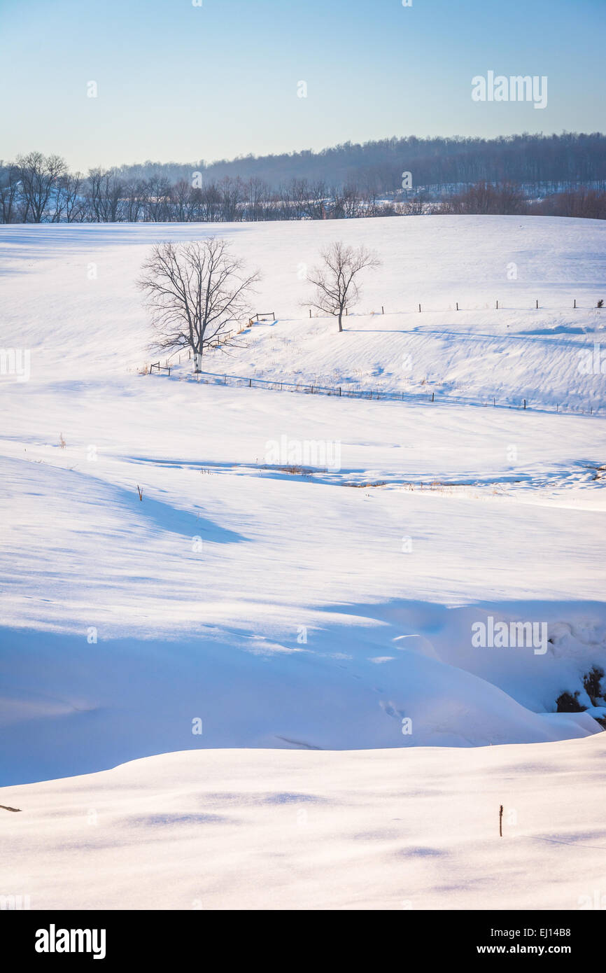 Blick auf Bäume und Zäune in einem verschneiten Hof-Feld in ländlichen York County, Pennsylvania. Stockfoto