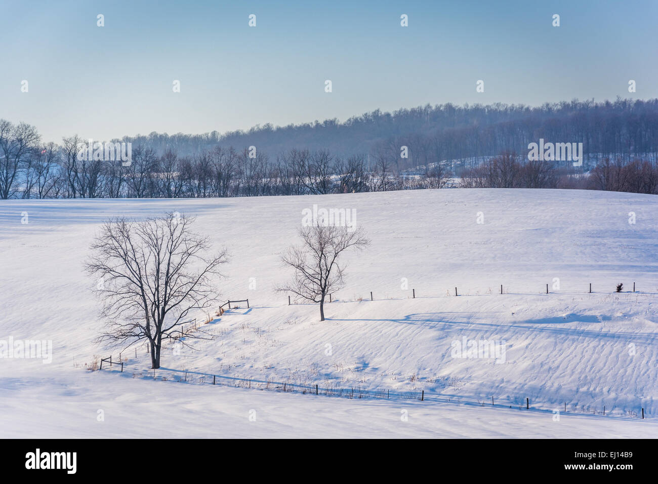 Blick auf Bäume und Zäune in einem verschneiten Hof-Feld in ländlichen York County, Pennsylvania. Stockfoto