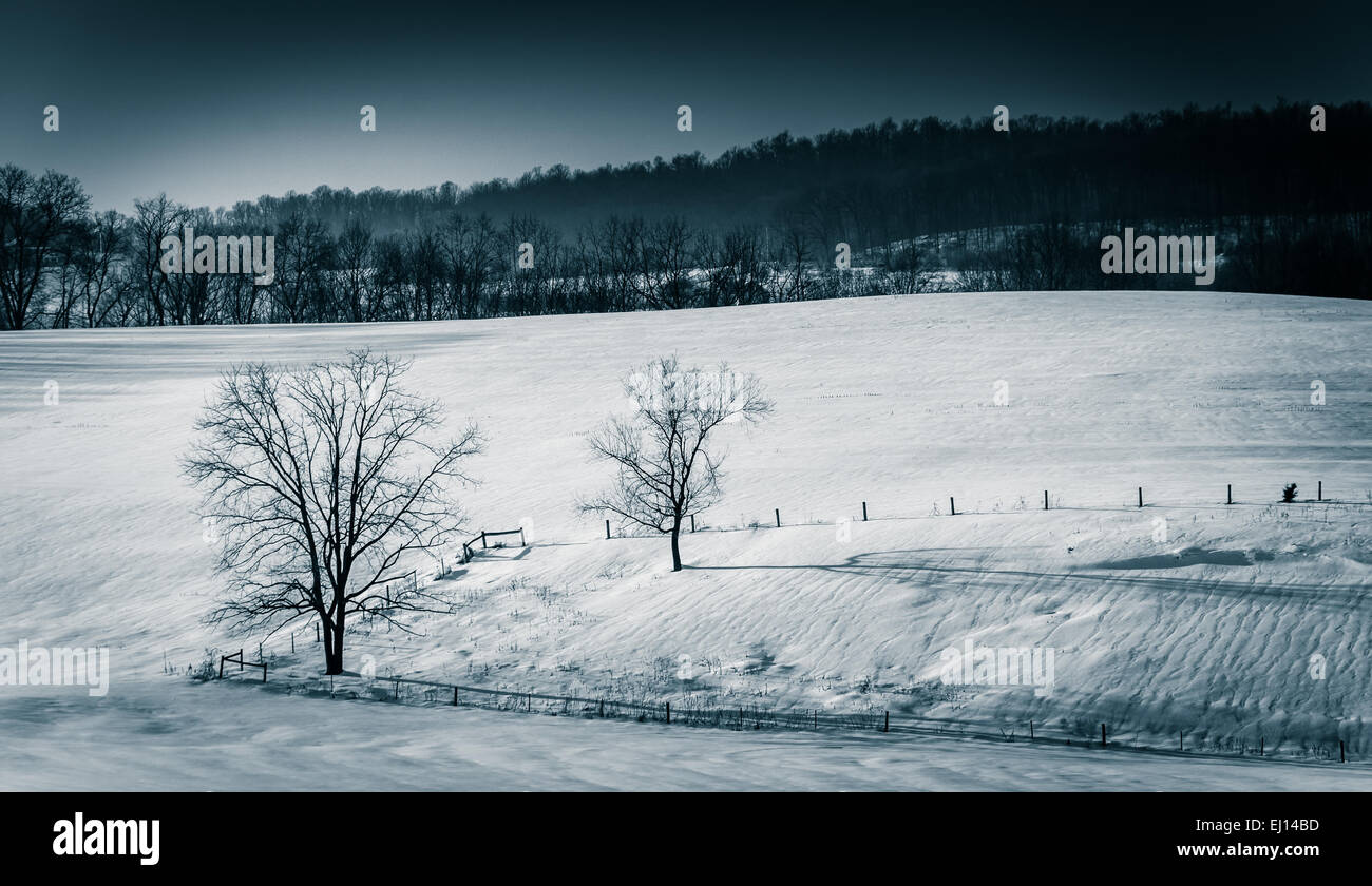 Blick auf Bäume und Zäune in einem verschneiten Hof-Feld in ländlichen York County, Pennsylvania. Stockfoto