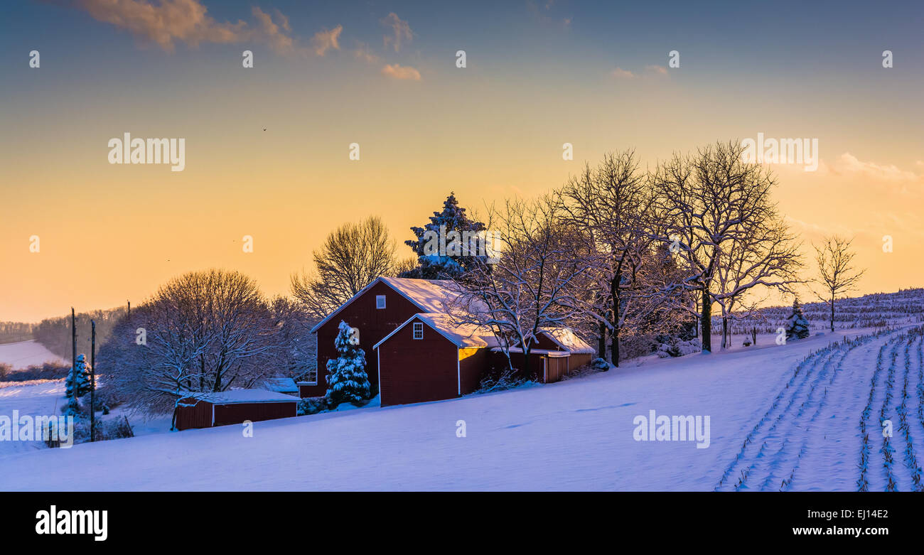 Winter-Ansicht einer Scheune auf einem überdachten Hof Schneefeld bei Sonnenuntergang, in ländlichen York County, Pennsylvania. Stockfoto