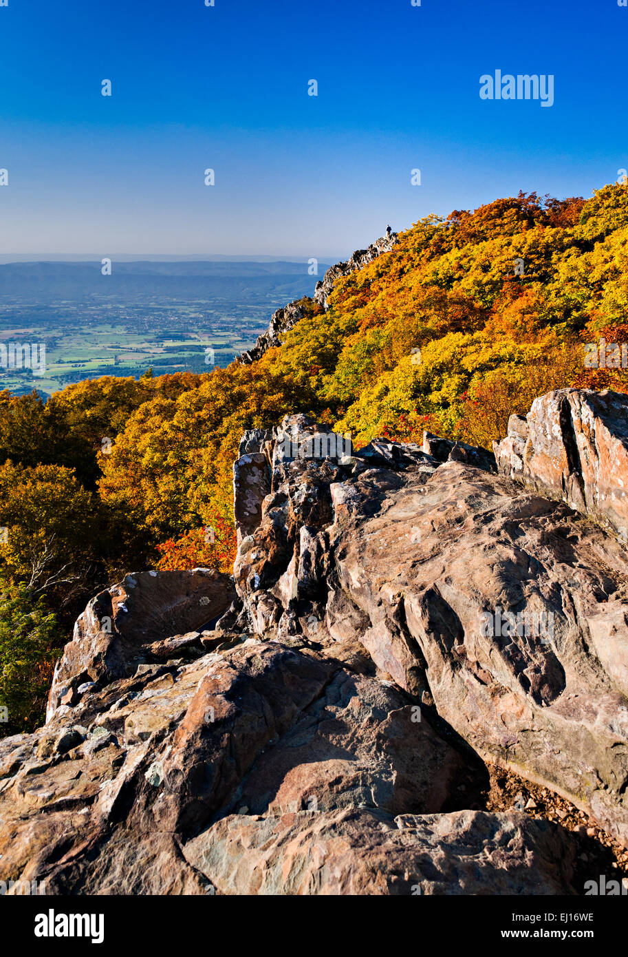 Herbst auf steinigen Mann Gipfel und das Shenandoah-Tal, von den Appalachian Trail im Shenandoah-Nationalpark, Virginia. Stockfoto
