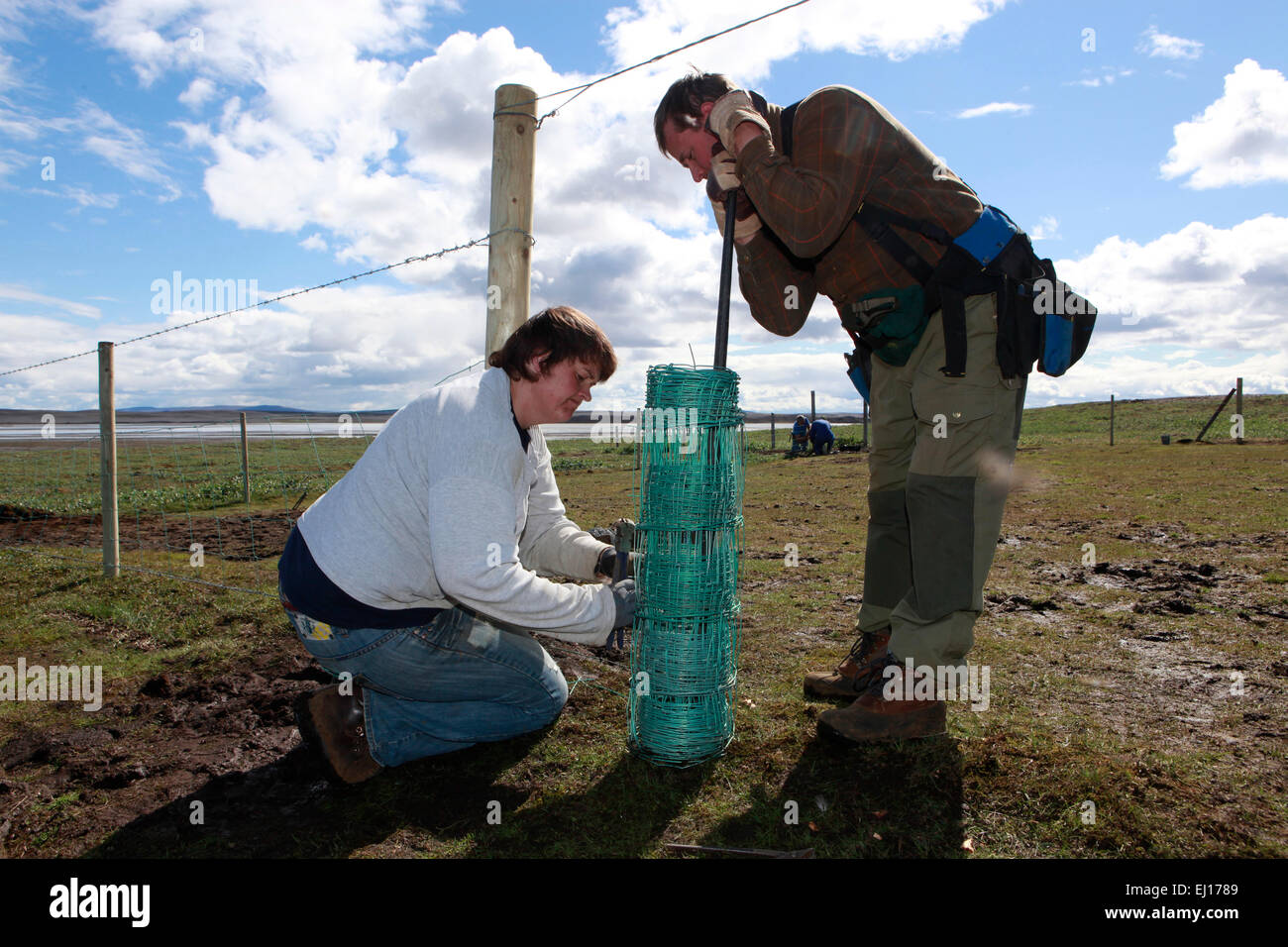 Fechten Land für Schafe hüten im Hochland von Island. Stockfoto