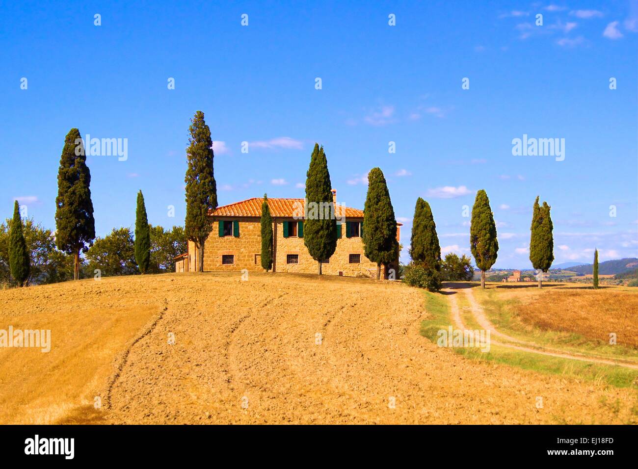 Klassische toskanische Landschaft mit Steinhaus und Zeile von Zypressen, Italien Stockfoto