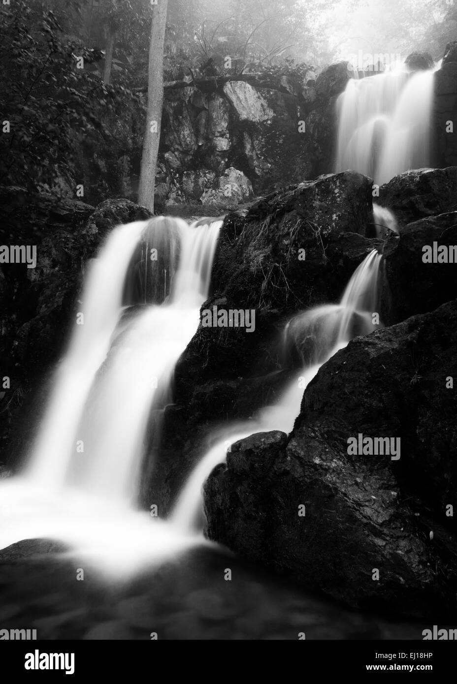 Schwarz / weiß Bild des oberen Doyle River Falls an einem Frühlingstag im Shenandoah-Nationalpark, Virginia. Stockfoto