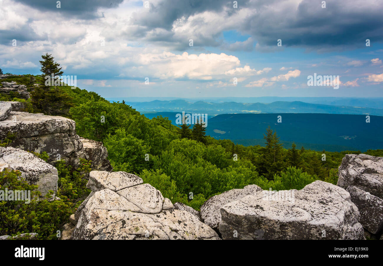 Felsbrocken und Ost-Ansicht der Appalachen aus tragen Felsen zu bewahren, Monongahela National Forest, West Virginia. Stockfoto