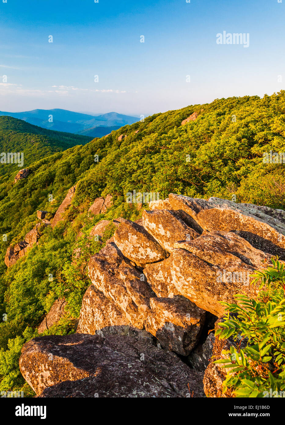 Abendlicht auf einem Felsvorsprung und den Blue Ridge Mountains von der Zinne auf dem Appalachian Trail im Shenandoah Nation Stockfoto