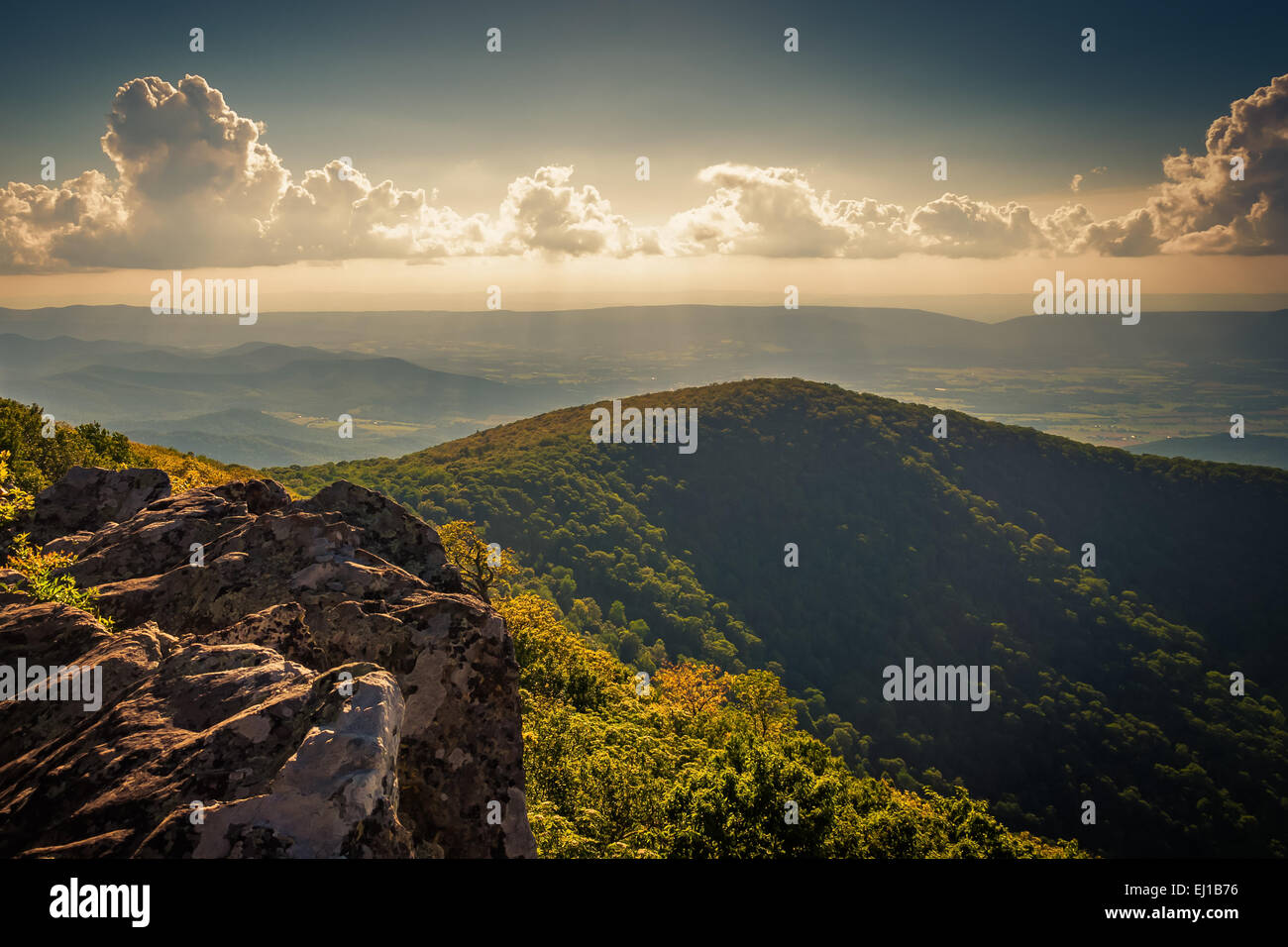 Abend-Blick von Klippen Hawksbill Gipfel in Shenandoah-Nationalpark, Virginia. Stockfoto