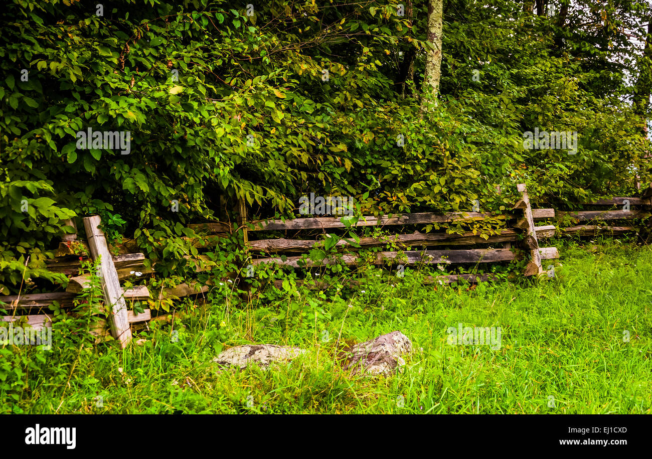 Zaun am Pass Mountain Overlook im Shenandoah-Nationalpark, Virginia. Stockfoto
