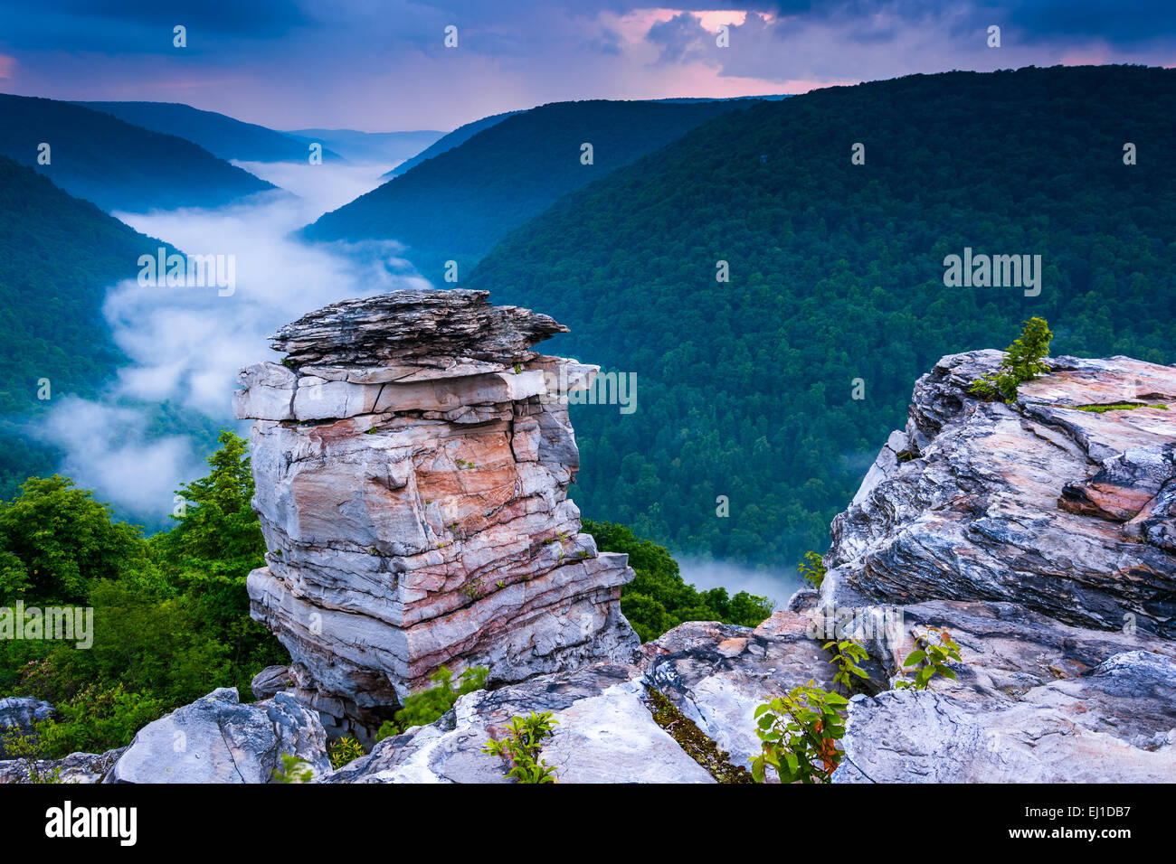 Nebel im Blackwater Canyon bei Sonnenuntergang gesehen von Lindy Punkt, Blackwater Falls State Park, West Virginia. Stockfoto