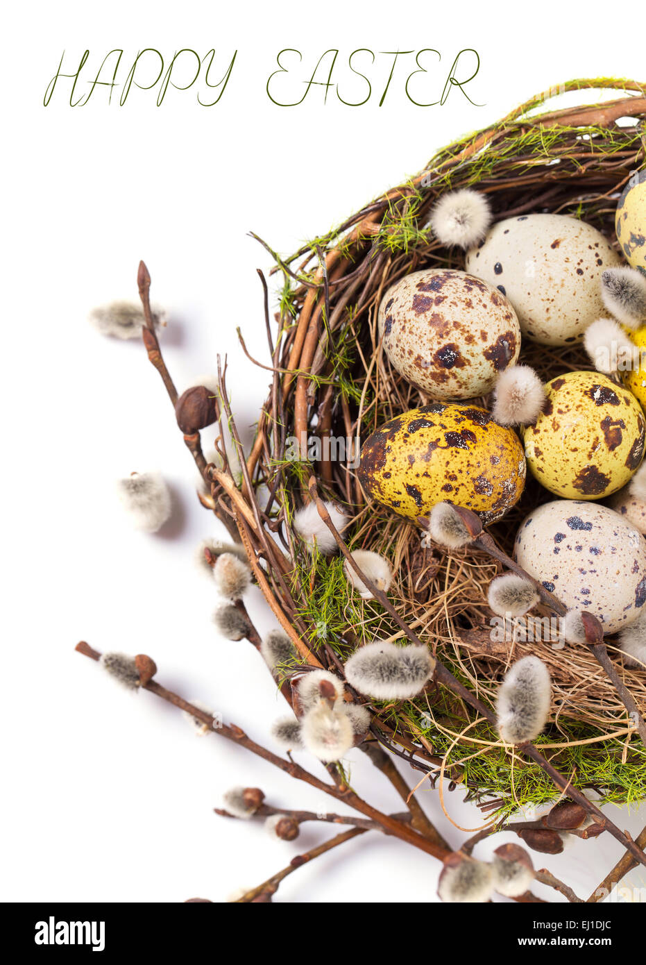 Ostereier im Nest auf einem weißen Hintergrund Stockfoto