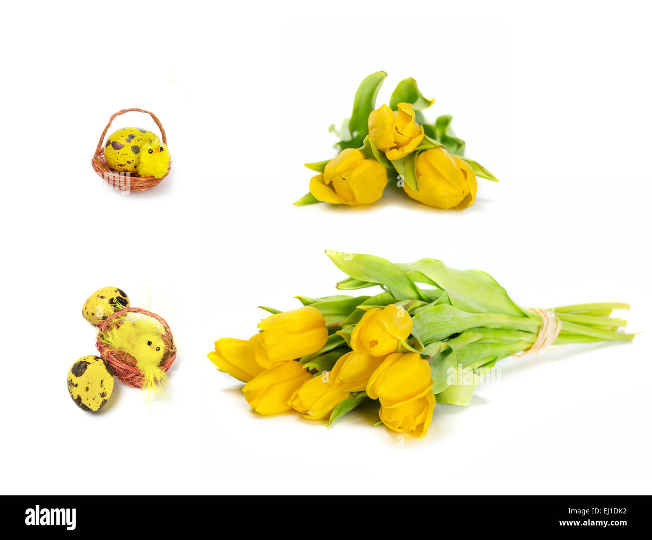 Gelbe Tulpe Blumen und Ostereier und Huhn Spielzeug auf weißem Hintergrund Stockfoto